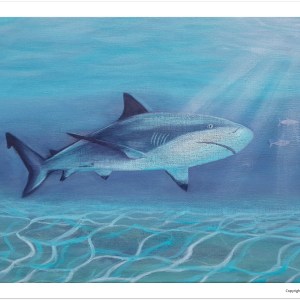 Caribbean Reef Shark | A4 Fine Art Poster 21x29.7 cm / 8x12".