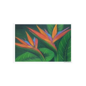 Bird of Paradise | A6 Fine Art Postcards